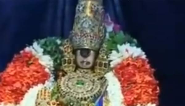 பல்லக்கில் வந்த நம்பெருமாள்