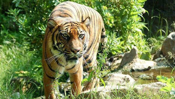 நடந்து வந்து இருக்கிறது