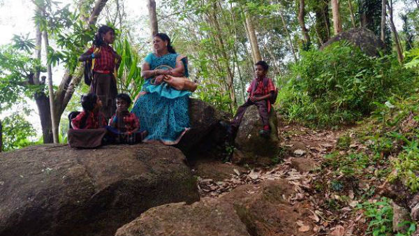 மதிய உணவு