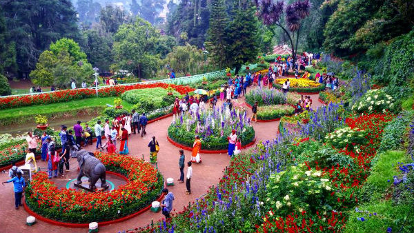Nilgiris district Parks, tourist spots opened for public from Today Nilgiris district Parks, tourist spots opened for public from Today