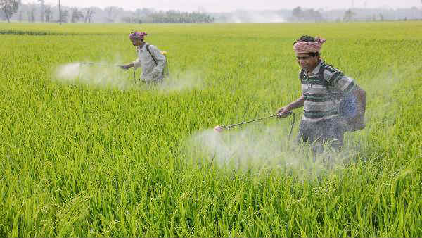 விவசாயிகளிடம் ஆலோசனை