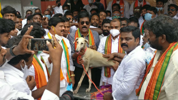 சென்னையில் மோடி பிறந்த நாள்