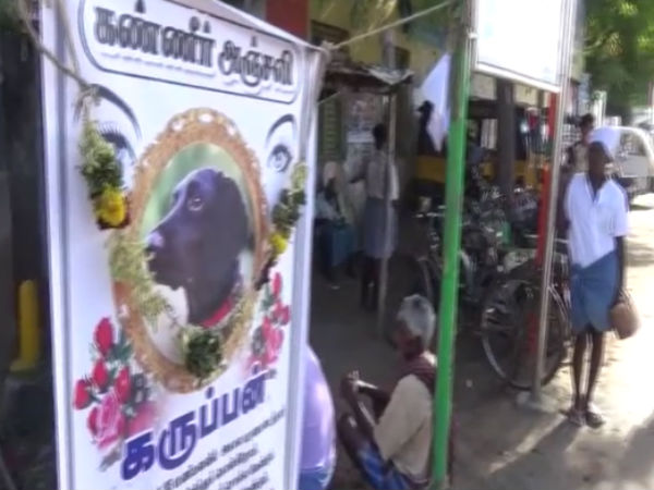 பிரிவால் வாடும் நண்பர்கள்