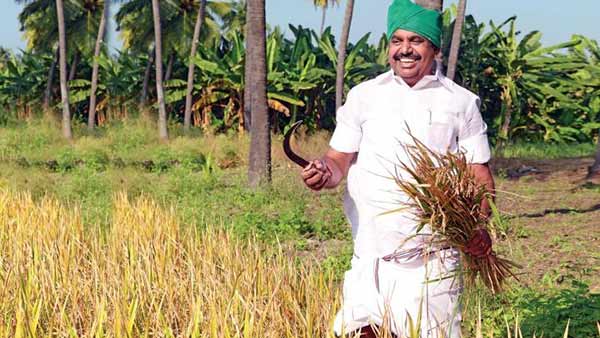 நெற்கதிர்களுடன் முதல்வர்