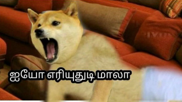 பந்துக்கு வலிக்கும்னு நினைக்காதே