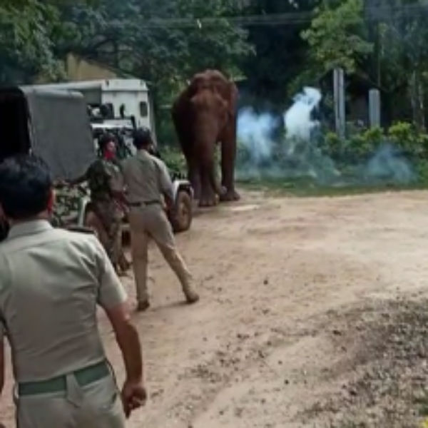 சத்து மாவு