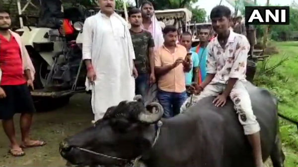 250 அமைப்புகளின் பாரத் பந்த்