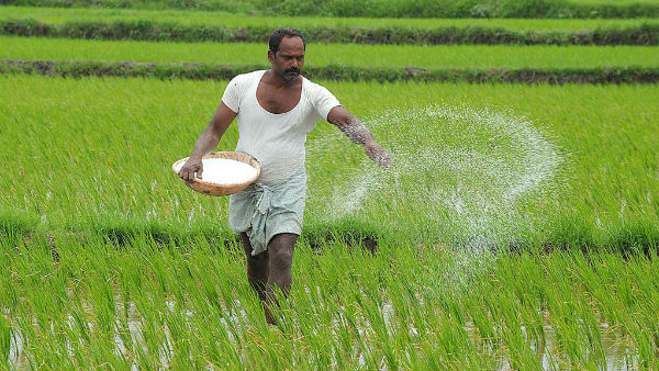 எளிதாக்கப்பட்ட விதிமுறை