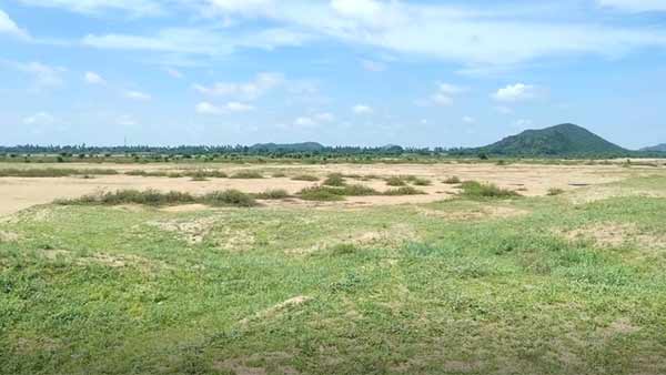 கைது