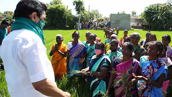 விவசாயம்