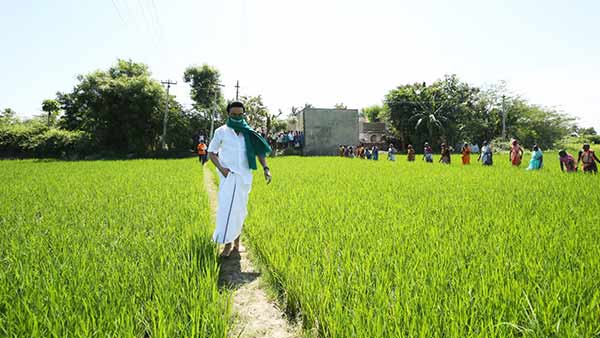 நெல் கொள்முதல்