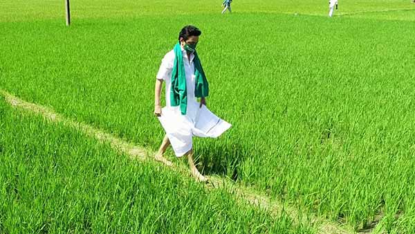 விவசாயிகளுக்கு ஆதரவாக திமுக