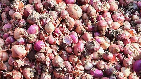 விலை குறையலாம் என நம்பிக்கை