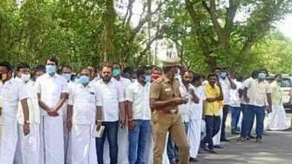 யாணைக்கு உணவு