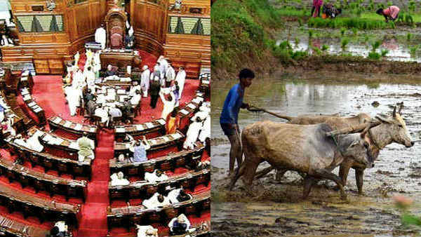 No Data On Farmer Suicides, says Centre in Rajya Sabha No Data On Farmer Suicides, says Centre in Rajya Sabha