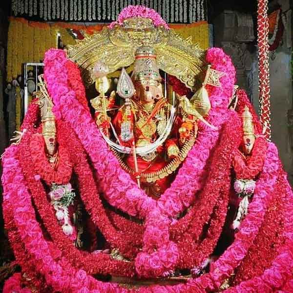சப்பரத்தில் உலா வரும் முருகன்