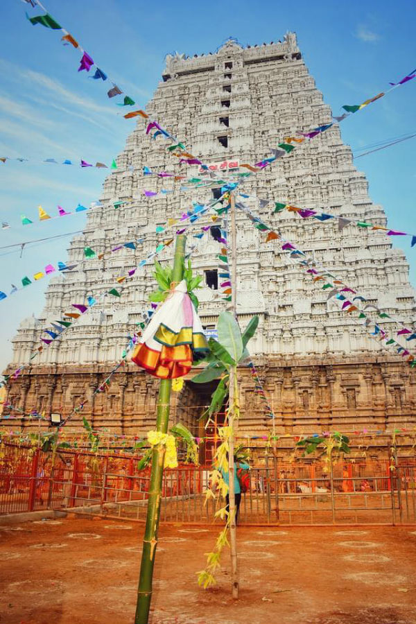 தீப திருவிழா எப்போது