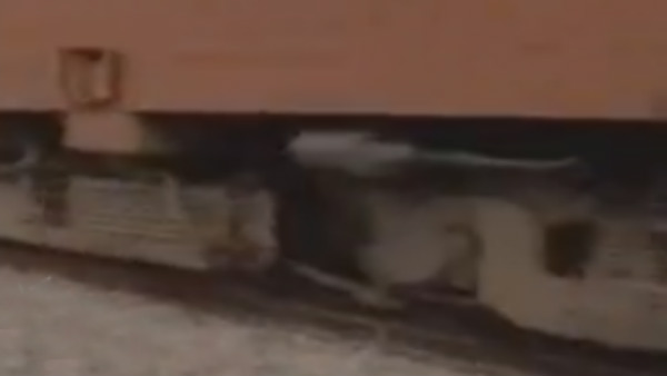 குழந்தை