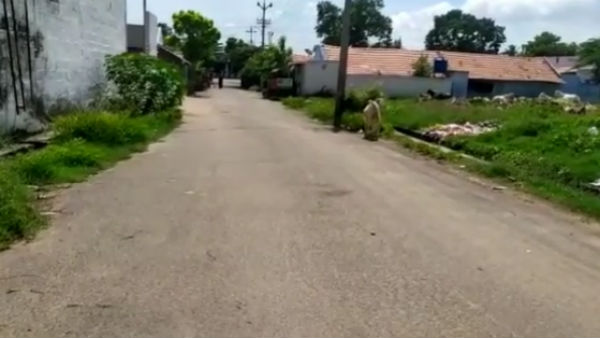 பாச மலர்கள்