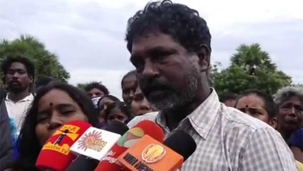 கிளிகள்