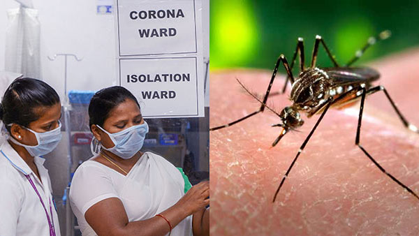 Rapidly spreading dengue in tamilnadu among corona infections Rapidly spreading dengue in tamilnadu among corona infections