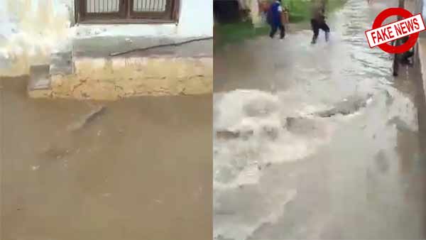 Fact check: Viral video of crocodile in residential area is not Hyderabad Fact check: Viral video of crocodile in residential area is not Hyderabad