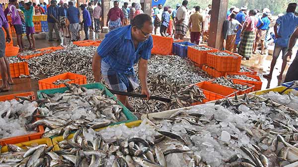 The public is eager to buy meat as the month of Puratasi is over The public is eager to buy meat as the month of Puratasi is over