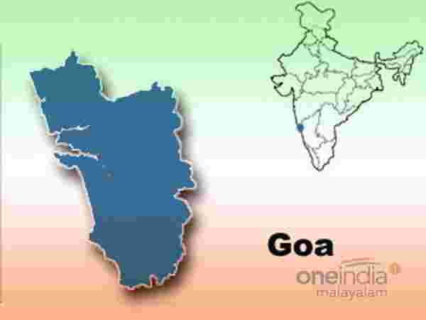 கோவா டாப்