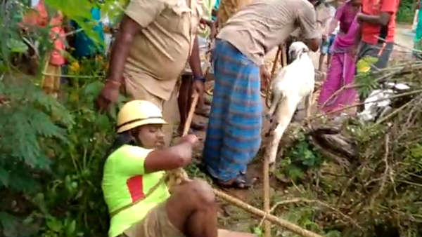 Lamb Slipping into the deep well and rescued near Sathiyamangalam, video Lamb Slipping into the deep well and rescued near Sathiyamangalam, video