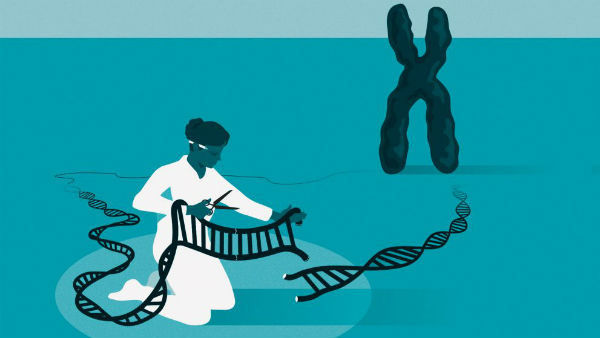 The 2020 Nobel prize in chemistry has been awarded to two women scientists The 2020 Nobel prize in chemistry has been awarded to two women scientists