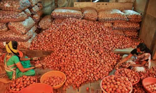 Onion price: People waiting buy onions at the Pasumai Pannai shops Onion price: People waiting buy onions at the Pasumai Pannai shops