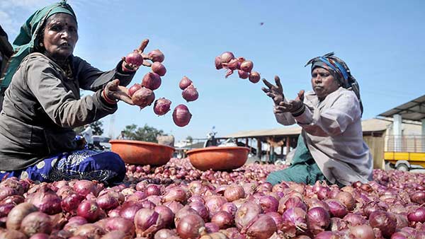 Onions sold at Trichy Pasumai pannai shops - Public disappointment Onions sold at Trichy Pasumai pannai shops - Public disappointment