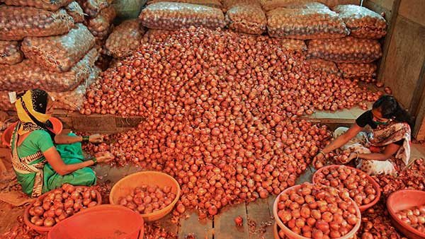 Central govt Relaxed Import norms of onions Central govt Relaxed Import norms of onions