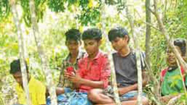 செல்போன் கோபுரங்கள்