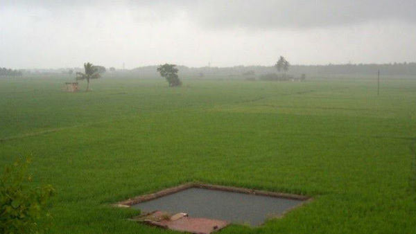 Six districts in Tamilnadu will get rain on today Six districts in Tamilnadu will get rain on today