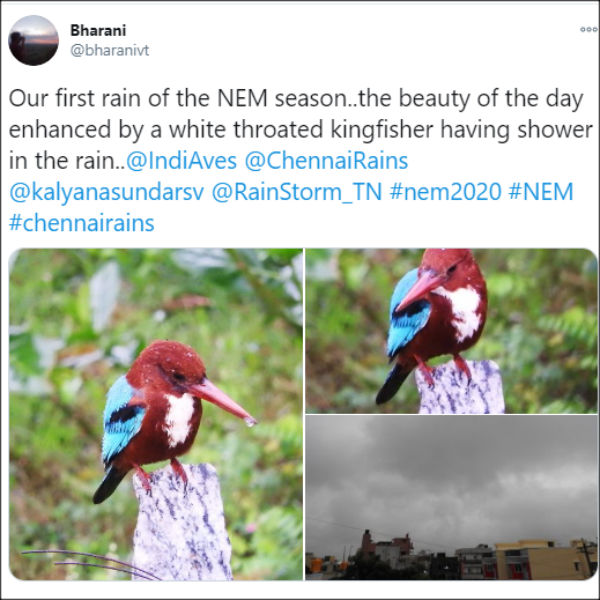 சொல்லாத இடம் கூட குளிர்கின்றது