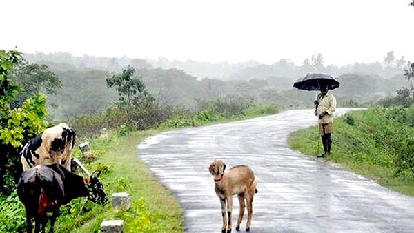 Heavy rain in 8 districts of Tamil Nadu Heavy rain in 8 districts of Tamil Nadu