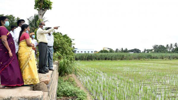 நேரில் பார்வை
