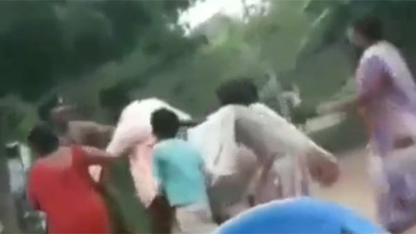 பூனை - புலி
