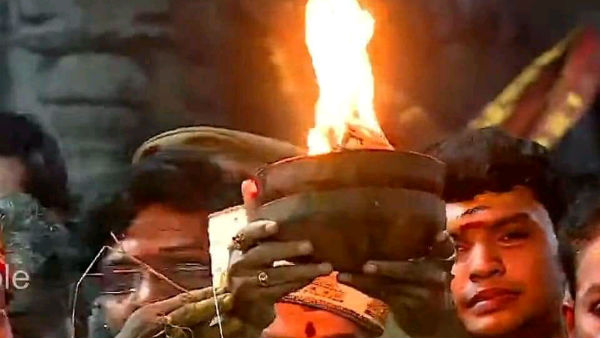 தேவ மரம் பனை