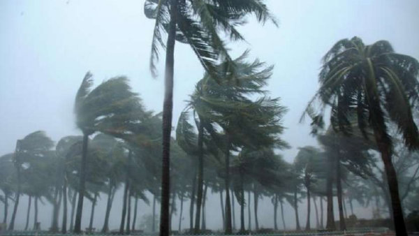 டொராண்டோ சைக்லோன்