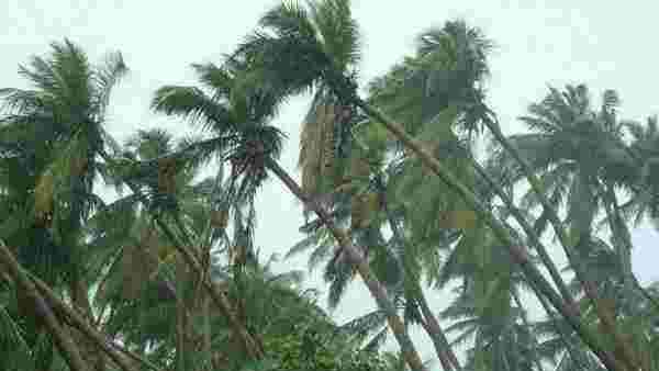 கனமழை பெய்யும்