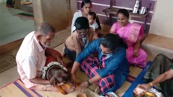ஆச்சர்யத்தில் மக்கள்