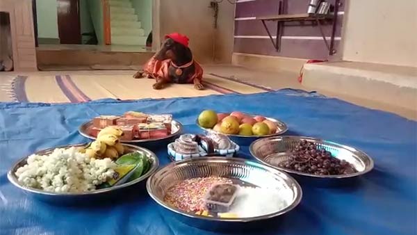 தஞ்சை தென்றல் நகர்