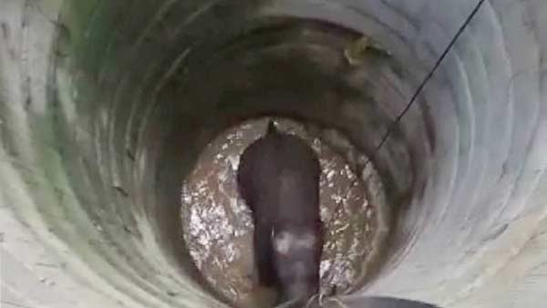 மயக்க ஊசி