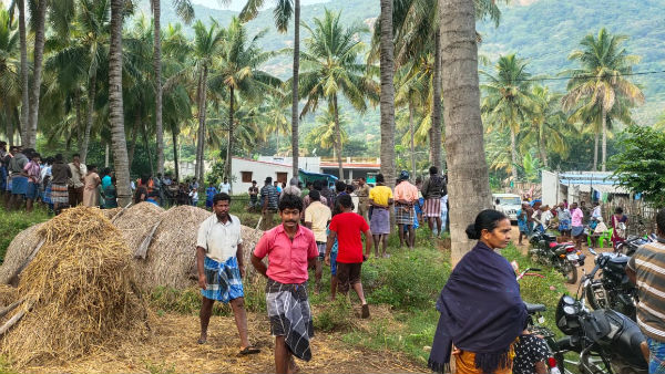 கிரேன் மூலம் யானை