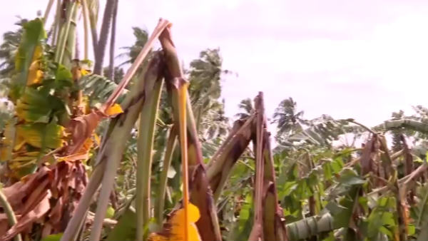 ஏக்கர்