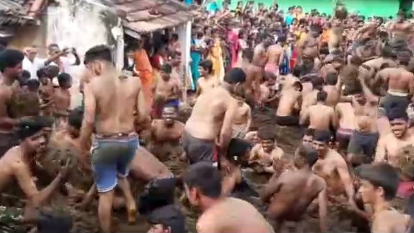 Erode Saniyadi Festival: A bizarre festival of throwing cow dung in erode Erode Saniyadi Festival: A bizarre festival of throwing cow dung in erode
