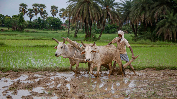 விவசாயிகளுக்கு நம்பிக்கை