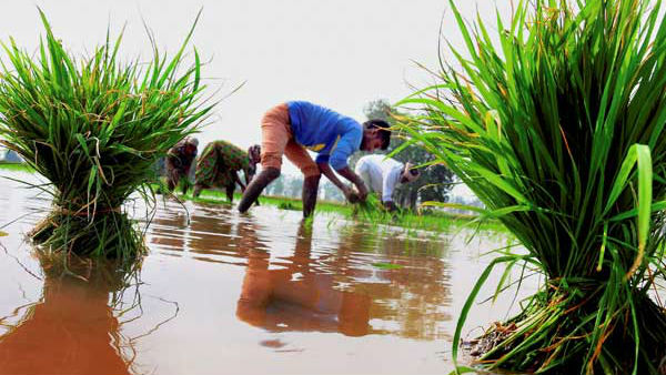 கிஷான் கிரெடிட்